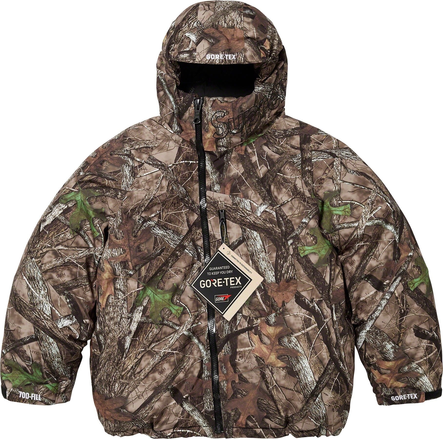 GORE-TEX 700-Fill Down Parka view 29